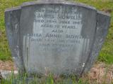image of grave number 493090